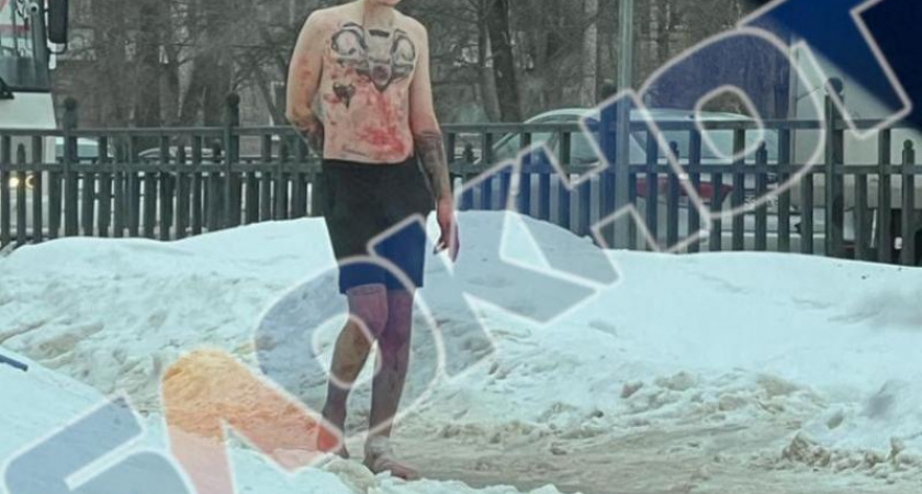 Убийцу 17-летней воронежской девушки отправят на принудительное лечение