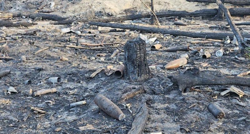 В Воронежской области жители пытались сдать в металлолом неразорвавшиеся снаряды