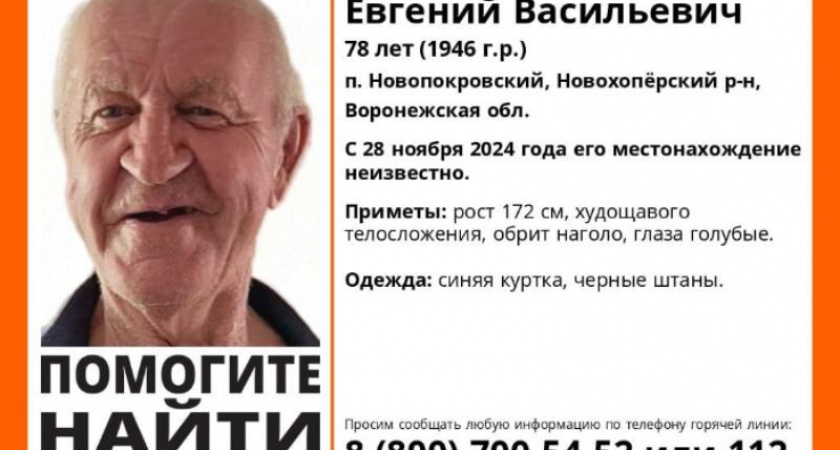 В Воронежской области пропал 78-летний пенсионер