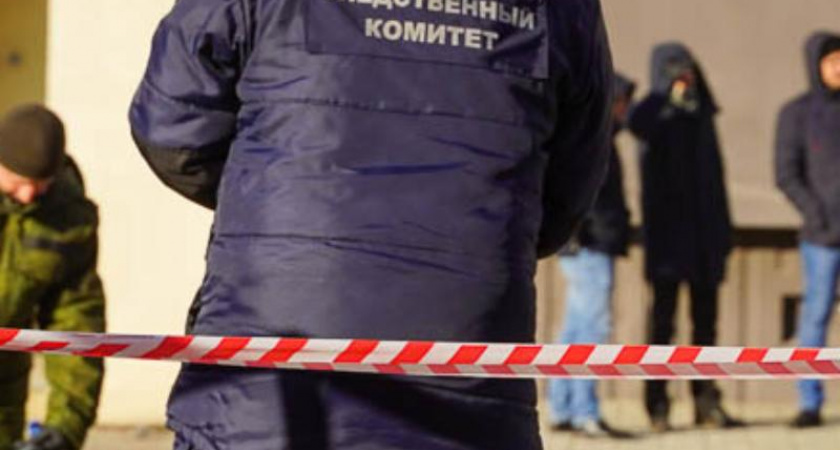 Бастрыкин взял на контроль проверку аварийного дома в Воронеже