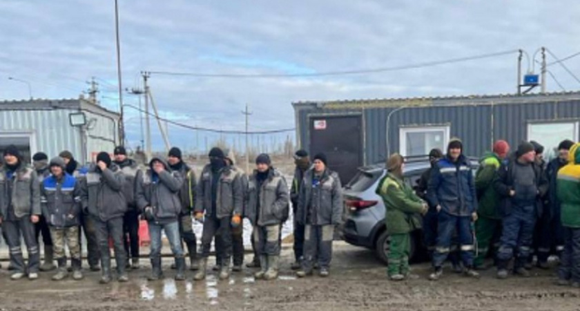 На стройке в Воронежской области задержали шестерых нелегальных мигрантов