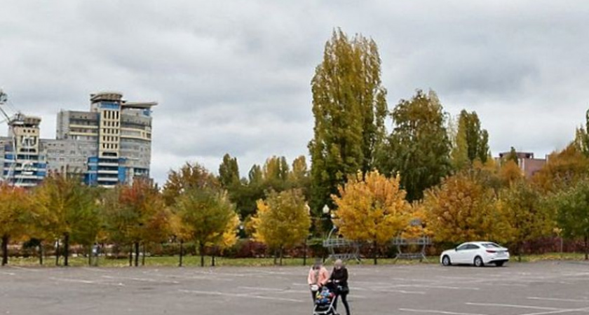 За незаконный спил деревьев у ТРЦ "Арена" арендаторов привлекут к ответственности