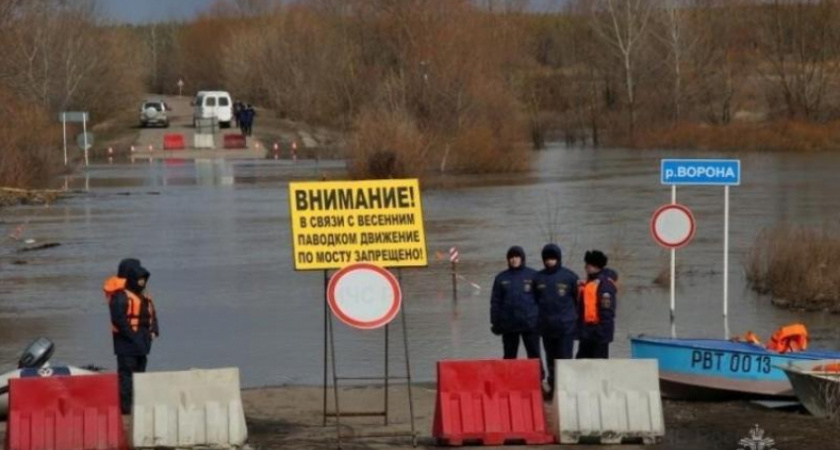 В Воронежской области 38 населенных пунктов могут оказаться в зоне паводка