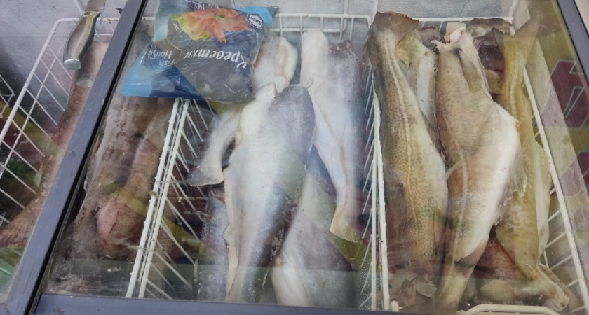 Полезная рыба предпочтительнее мяса: запомните раз и навсегда