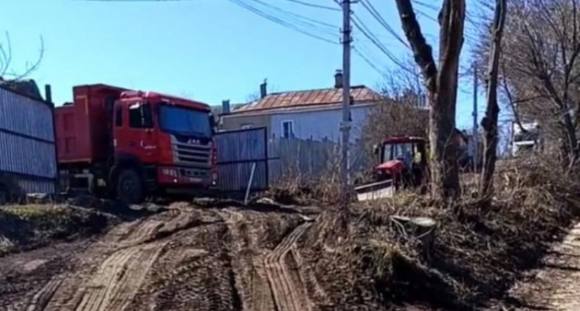 Чиновники объяснили вырубку деревьев на улице Жилина