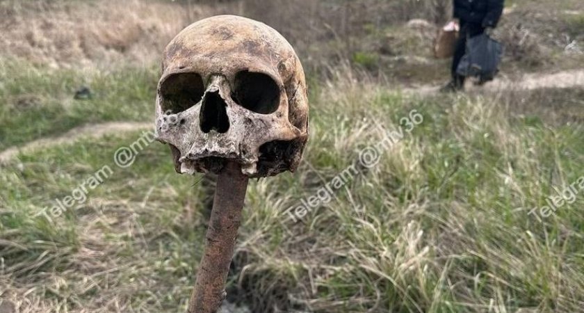 Человеческий череп на палке обнаружили на входе в коттеджный поселок Воронежа