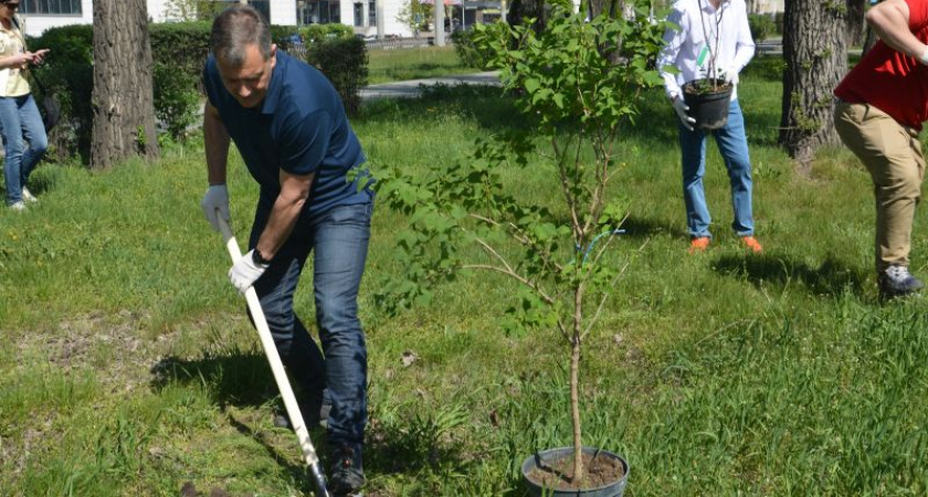 Коммунисты высадили деревья в сквере Защитников Воронежа в честь юбилея Ленина