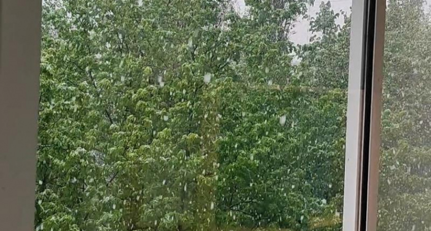 Арктический циклон принес снег и заморозки в Воронеж