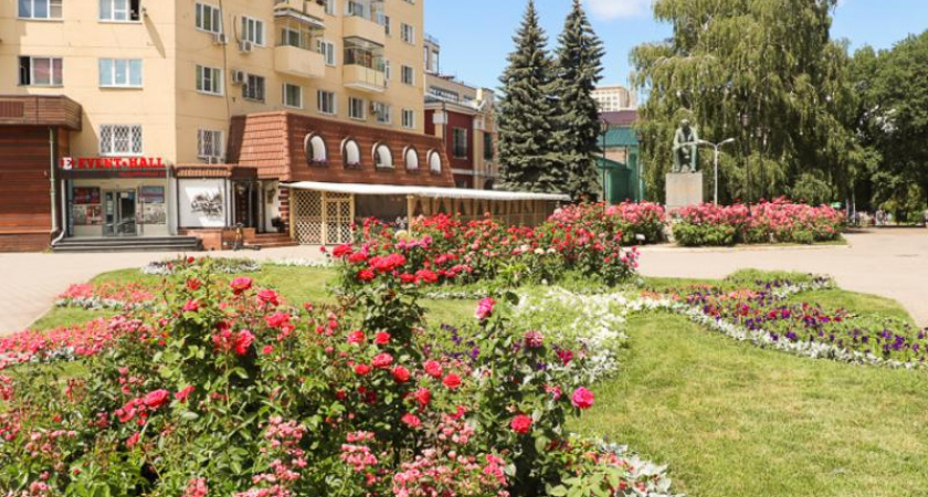 Бесплатные развлечения в парках Воронежа на Первомай