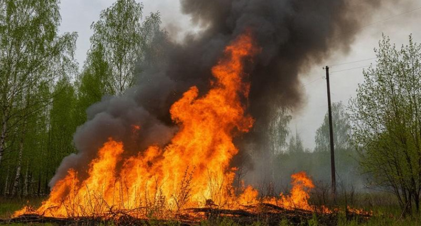 В Воронежской области объявили штормовое предупреждение из-за чрезвычайной пожарной опасности