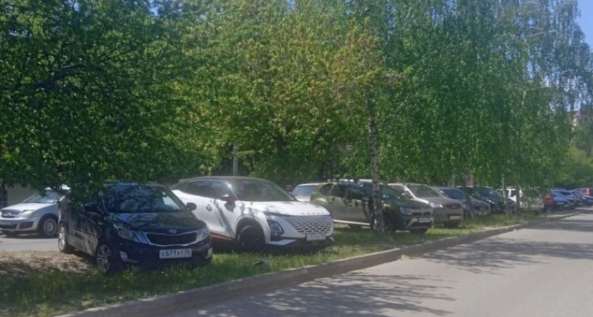 Посетители зоопарка превратили газон в парковку для десятка машин