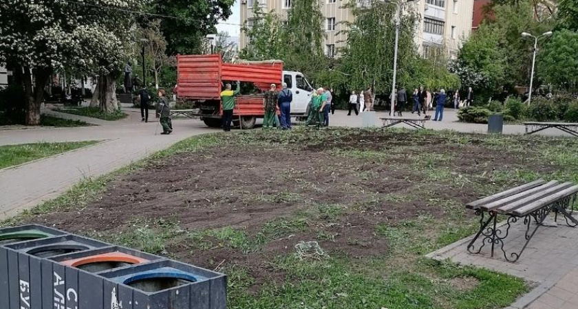 Розарий на бульваре Карла Маркса пересадили в другие места Воронежа