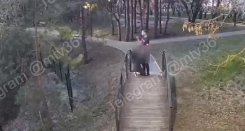 Супружеская пара оштрафована за интимные утехи на мостике в парке