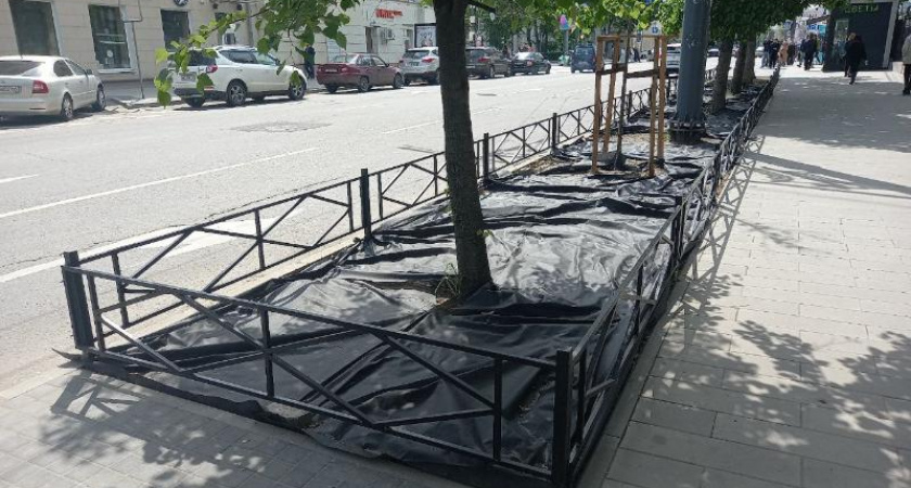 Общественники сравнили ограждения клумб в центре Воронежа с могильными оградками
