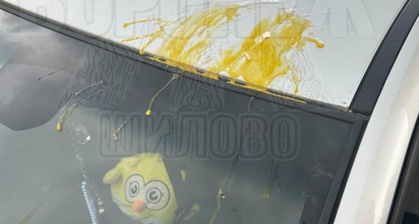 Автомобиль в Шилово забросали яйцами с верхних этажей