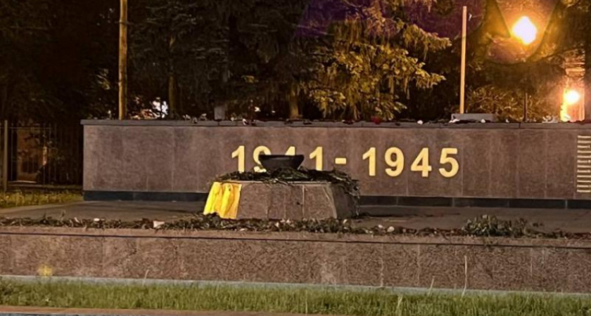 Бастрыкин взял на личный контроль дело о поджоге цветов на Вечном огне в Воронеже