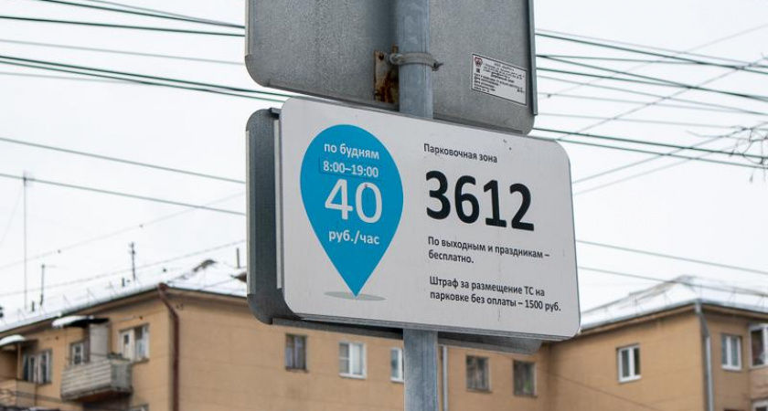 Воронежский областной суд отклонил жалобы автомобилистов на штрафы за неоплату парковки