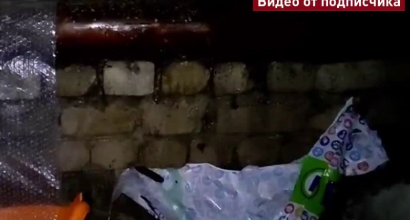 Воронежцы обратились к Путину из-за аварийного дома без капремонта 64 года