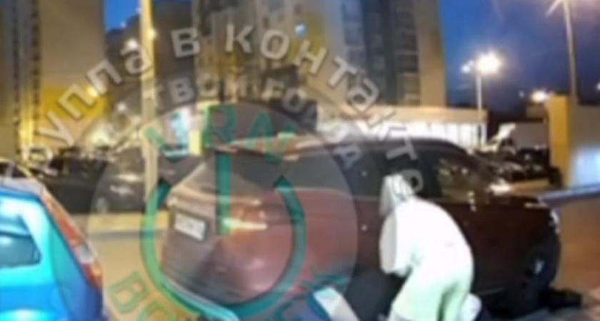 Драка двух мужчин во дворе Воронежа попала на видео