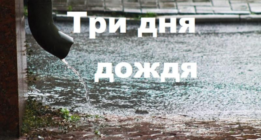 Синоптики прогнозируют дождливую и прохладную неделю в Воронеже