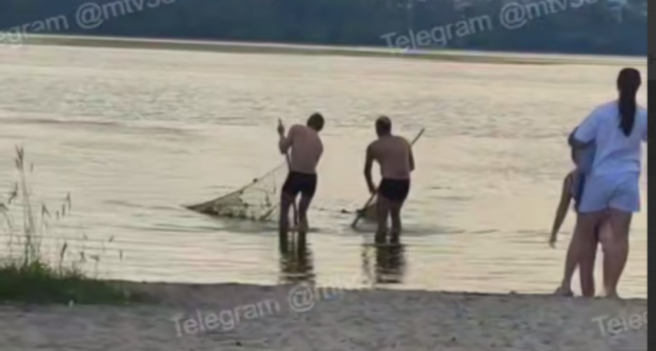 Двое мужчин в плавках самостоятельно очистили водохранилище от тины ради купающихся детей