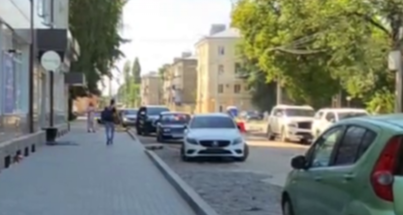 94 дерева принесли в жертву плитке: в Воронеже ради тротуара уничтожили зеленую аллею