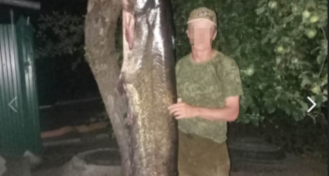 В Воронежской области рыбак поймал двухметрового сома-"людоеда" весом 55 килограммов
