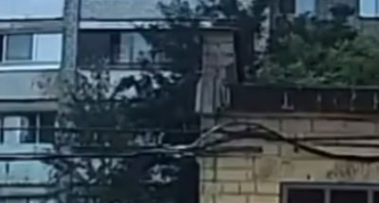 5-летняя девочка выпала с 6-го этажа в Воронеже, прорвав москитную сетку на балконе