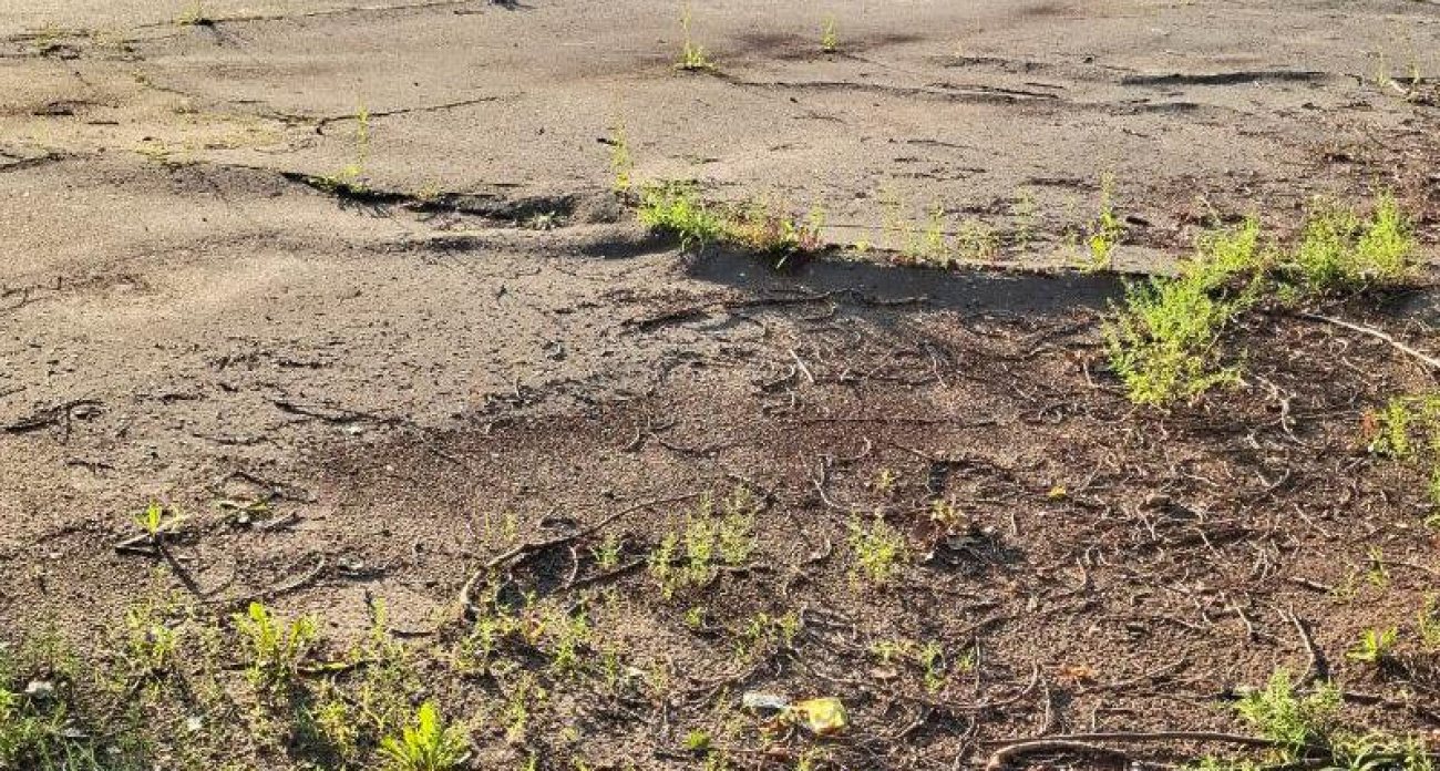 Стадион школы №95 в Воронеже превратился в опасное поле с трещинами и буграми