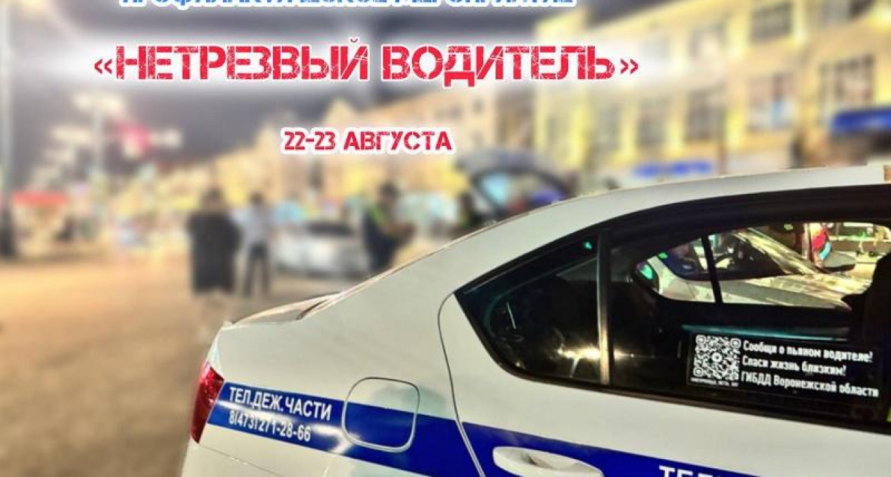 Воронежские полицейские устроят тотальные проверки водителей в ночь на 23 августа: останавливать будут всех без исключения