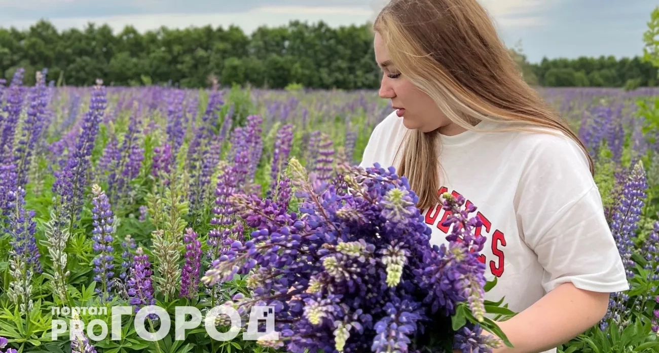 Тельцы наконец встретятся с судьбой, а Львы откроют миру свои гениальные идеи