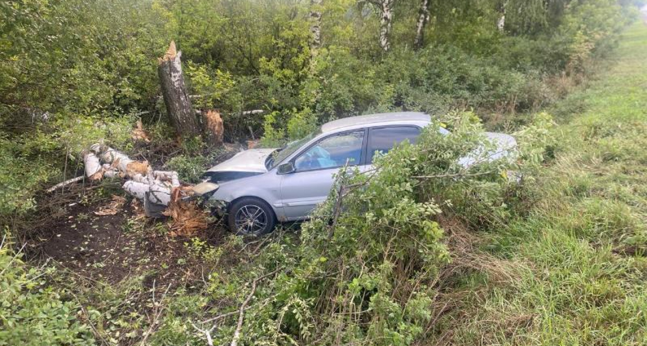 Пьяная автомобилистка протаранила дерево на Mitsubishi: трое в больнице под Воронежем