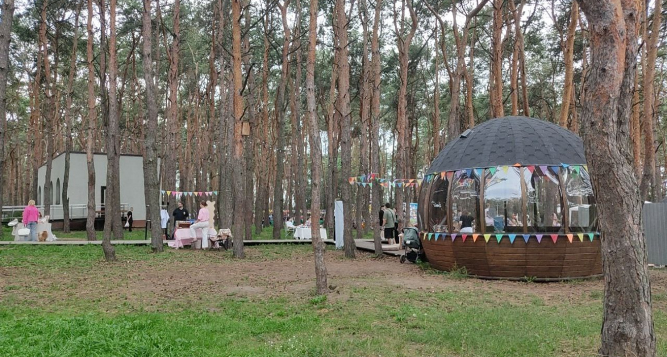 Сотни воронежцев раскрыли "Цель поездки" в парке "Дельфин" с ярмаркой и мастер-классами