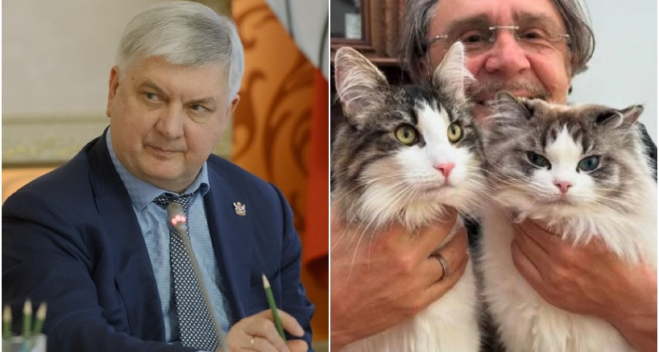 Активист ФПБК потребовал от губернатора Гусева отменить концерты Шнурова из-за "отсутствия патриотизма"