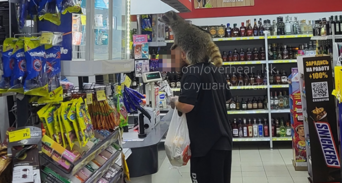 В воронежском "Магните" покупатель пришел за продуктами с енотом на шее