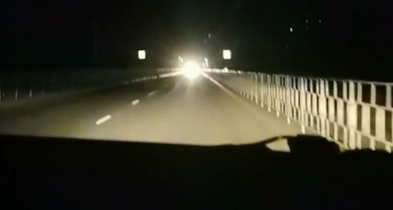 Фонари на дублере Московского проспекта в Воронеже погасли через месяц после открытия