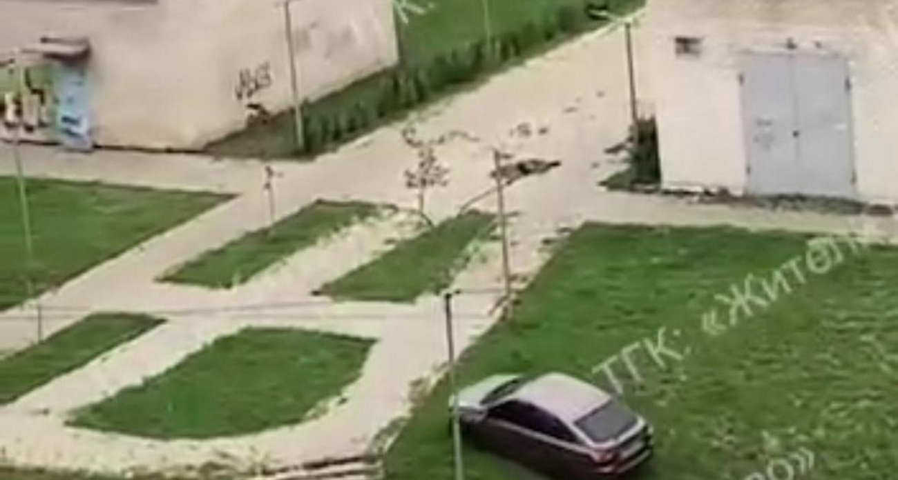 В Воронеже водитель заехал на машине прямо в шашлычную через газон и ступеньки