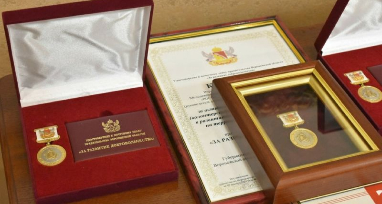 Воронежские власти учредили почетный знак "За развитие добровольчества" — кто сможет его получить