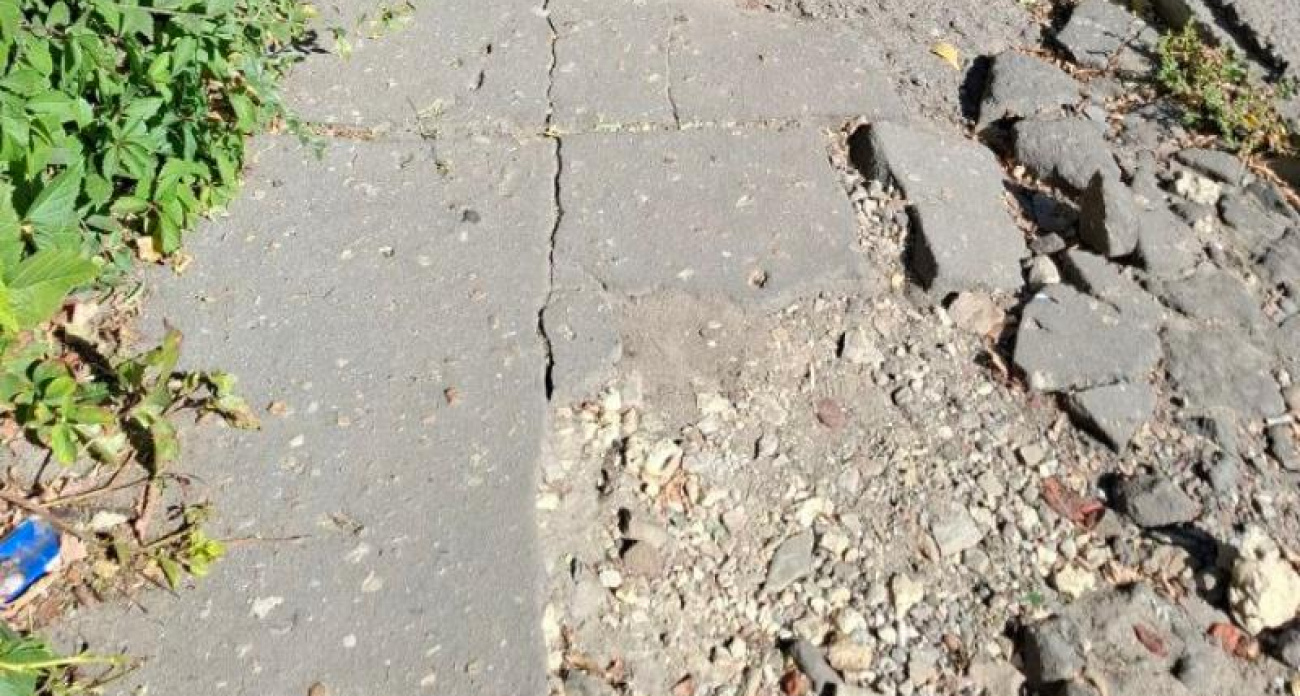 "Через заросли к урнам": воронежцы продираются сквозь кусты к избирательным участкам