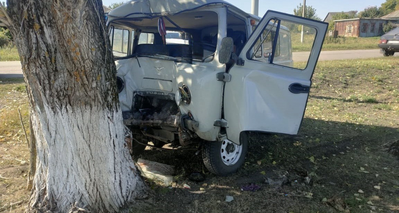 56-летний водитель УАЗа погиб, врезавшись в дерево на встречке в Воронежской области