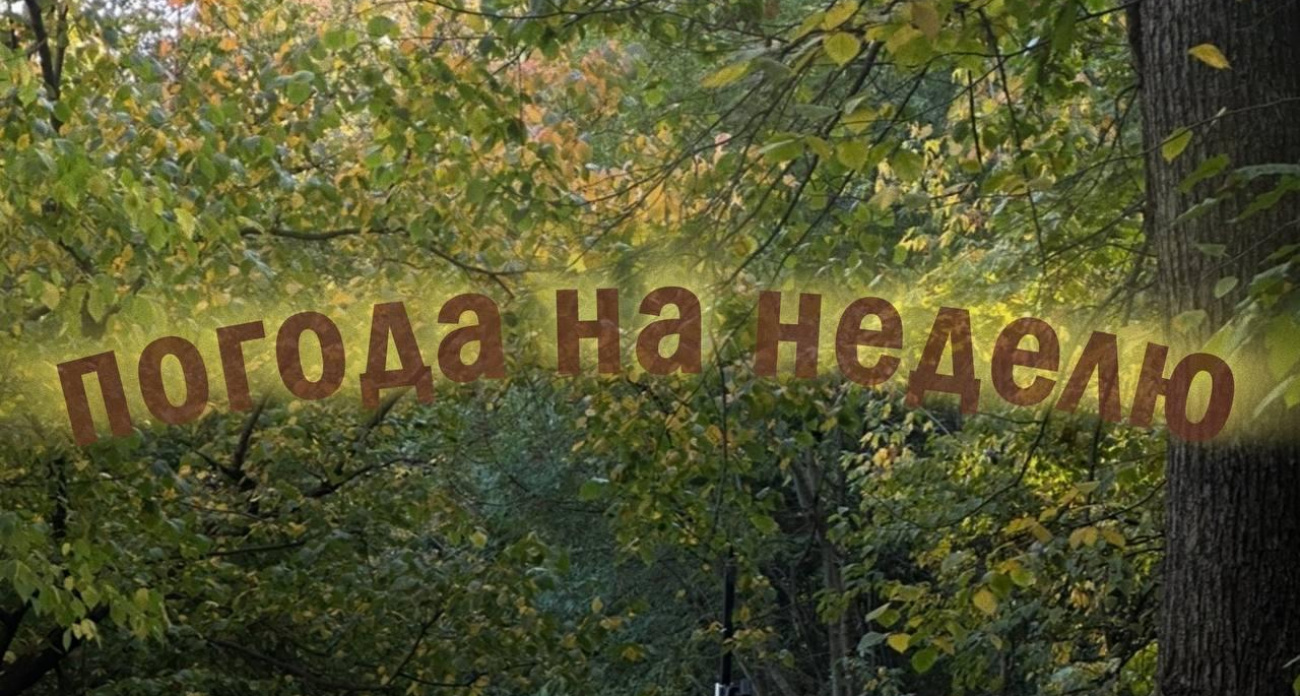 Испытание на прочность: воронежцев ждет резкое похолодание до +5 и дожди с вероятностью 82%