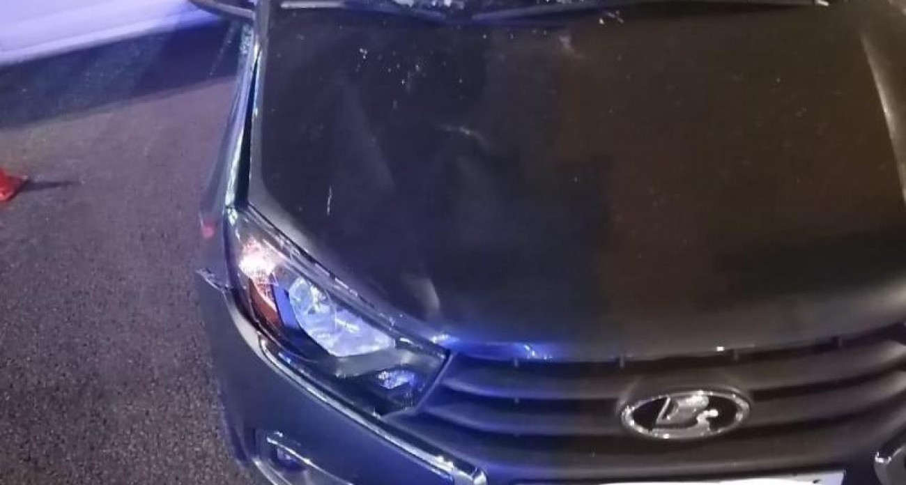 20-летний водитель Lada Granta получил 2 года колонии за смертельный наезд на "зебре" у "Пролетария"