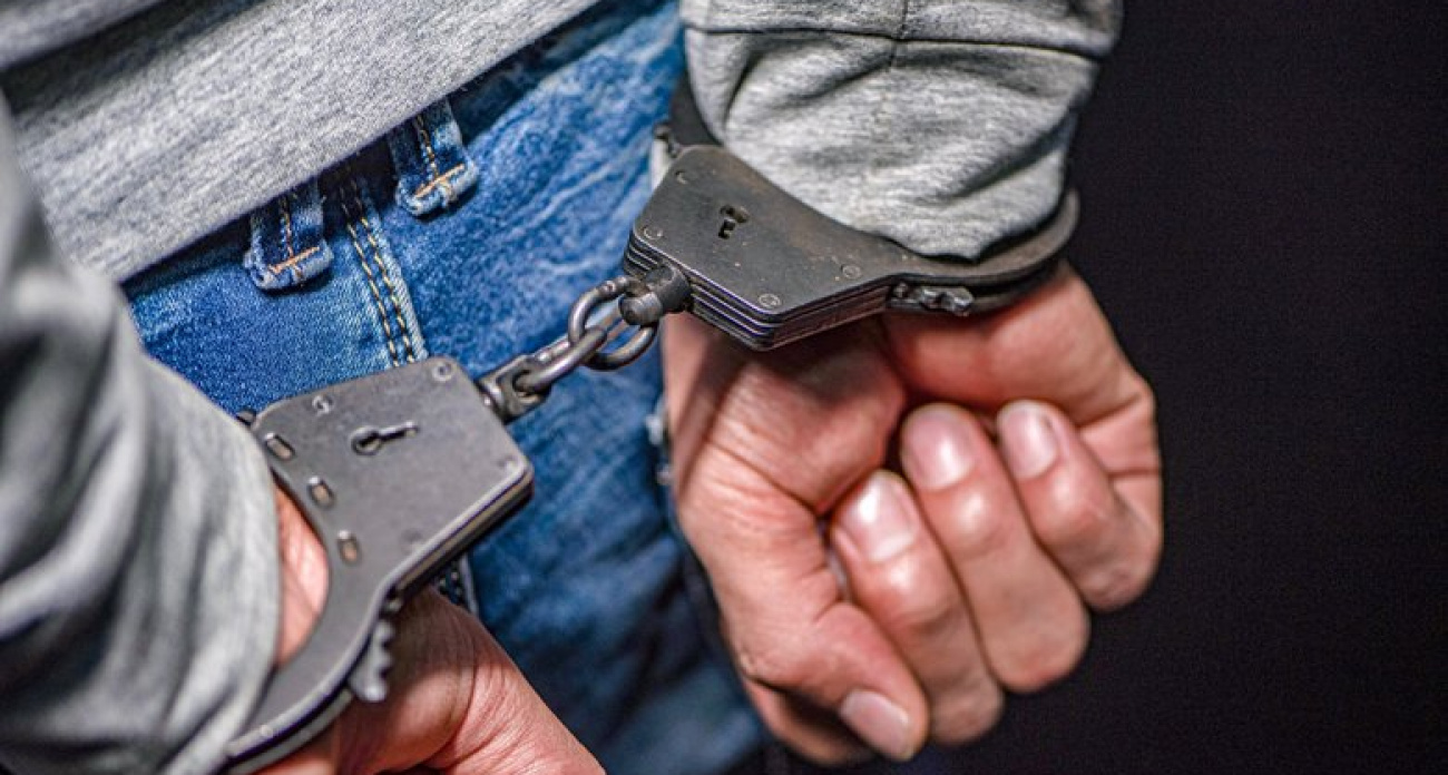 38-летний водитель из Воронежа предстанет перед судом за смерть собаки: возбуждено уголовное дело