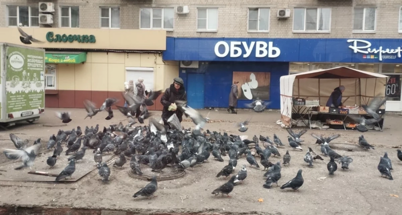 Жители дома на Лизюкова превратили детскую площадку в помойку для голубей с костями и отходами