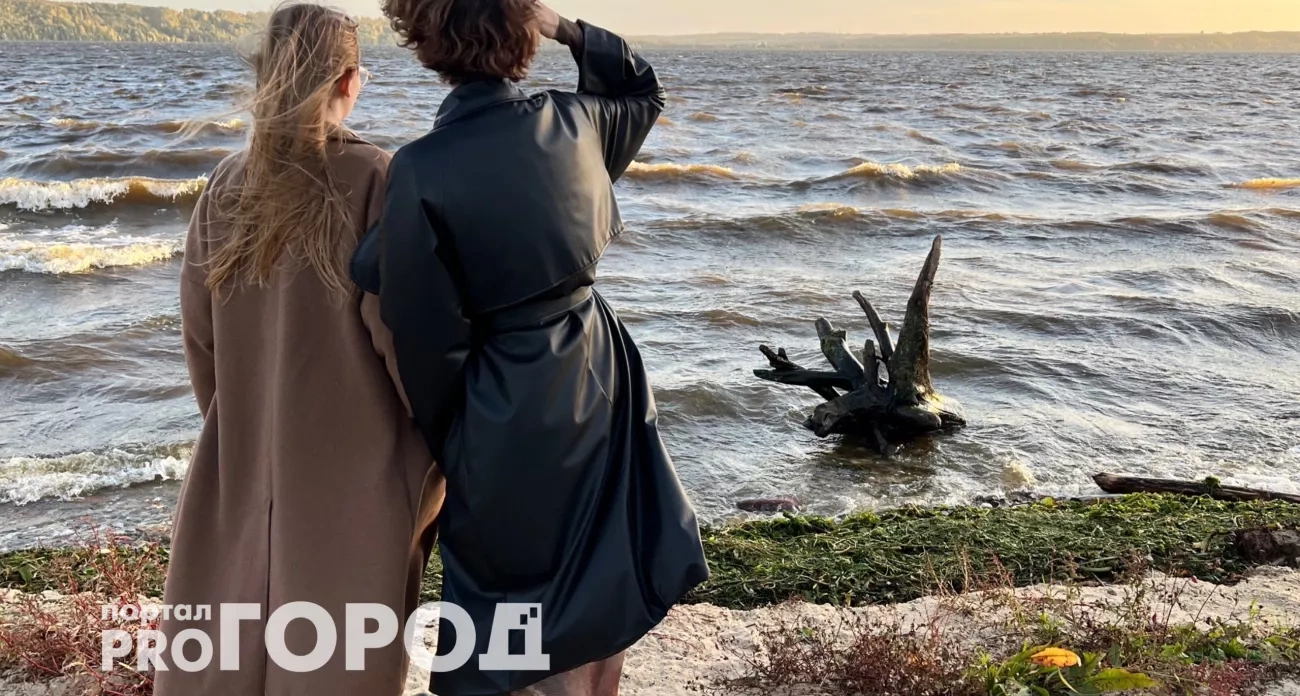 Тельцам звезды открывают денежный канал, а Львам дают знак проявить скрытые таланты