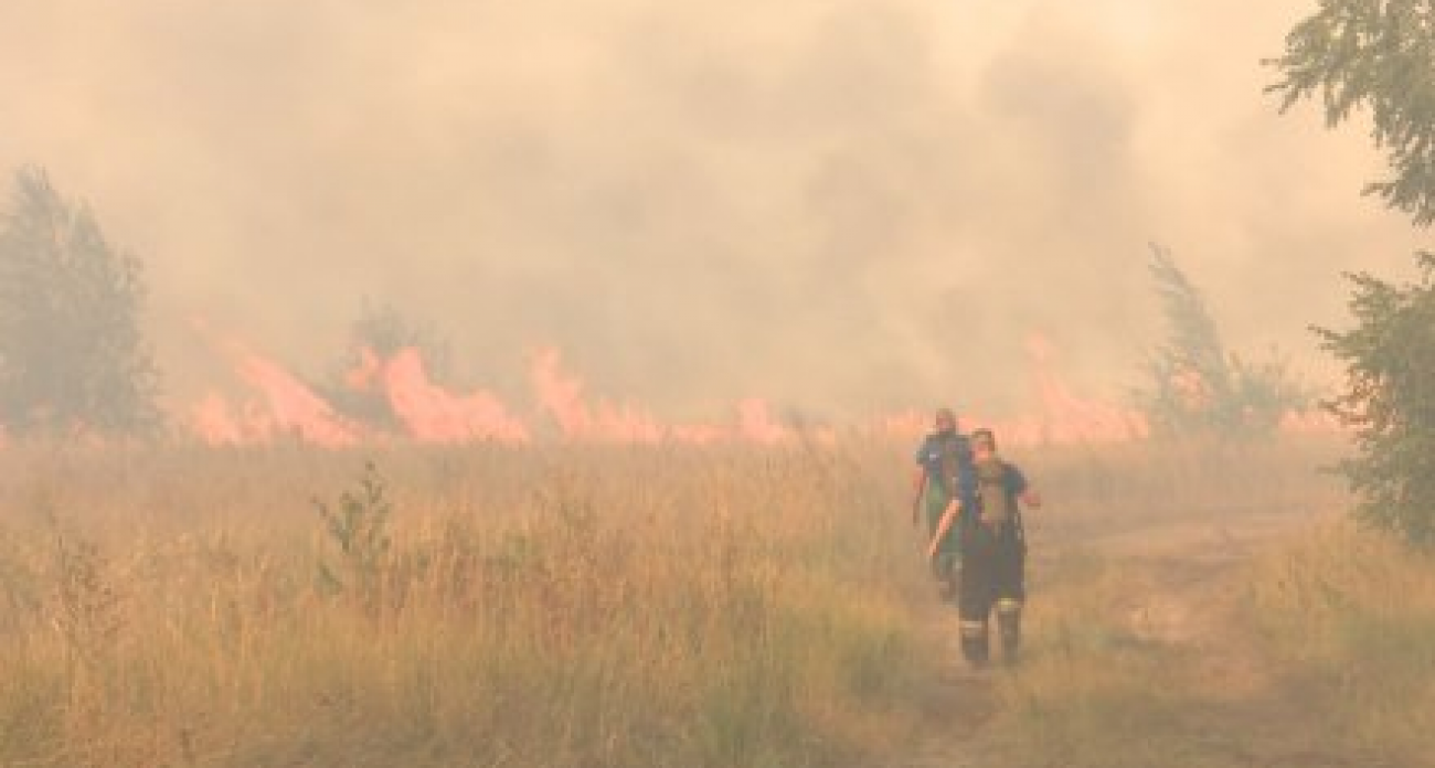 1665 пожаров сухой травы за год: Воронежская область готовится к новому огненному сезону