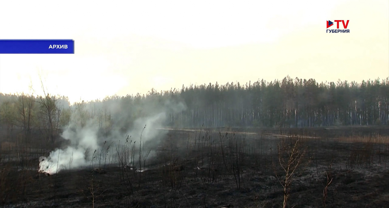 1665 случаев за год: воронежцы заплатили 1,4 млн рублей штрафов за поджоги травы