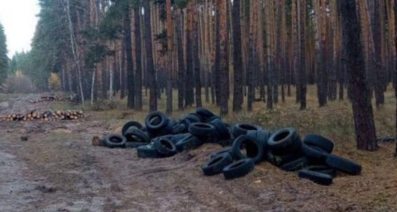 Гору бесхозных шин нашли в воронежском лесу: нарушителю грозит административный штраф