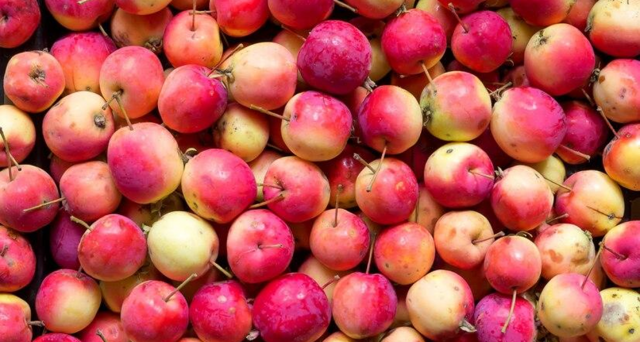 ВТБ подал иски на 2,3 млрд рублей к крупнейшему производителю яблок Воронежской области