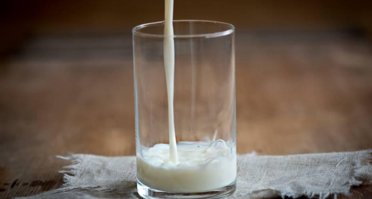 Фальсифицированное молоко из 52 партий обнаружили в школах Воронежа и области